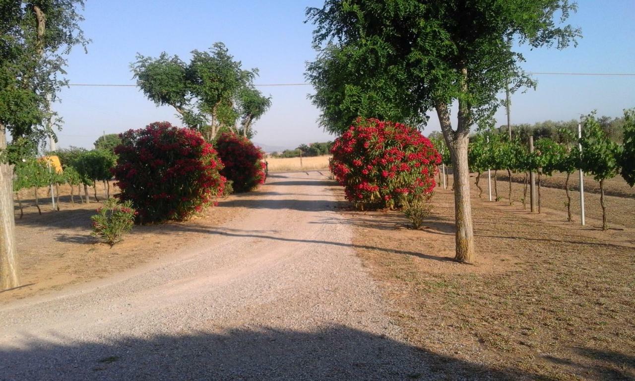 Monolocale Con Giardino Villa Castiglione della Pescaia Exteriör bild