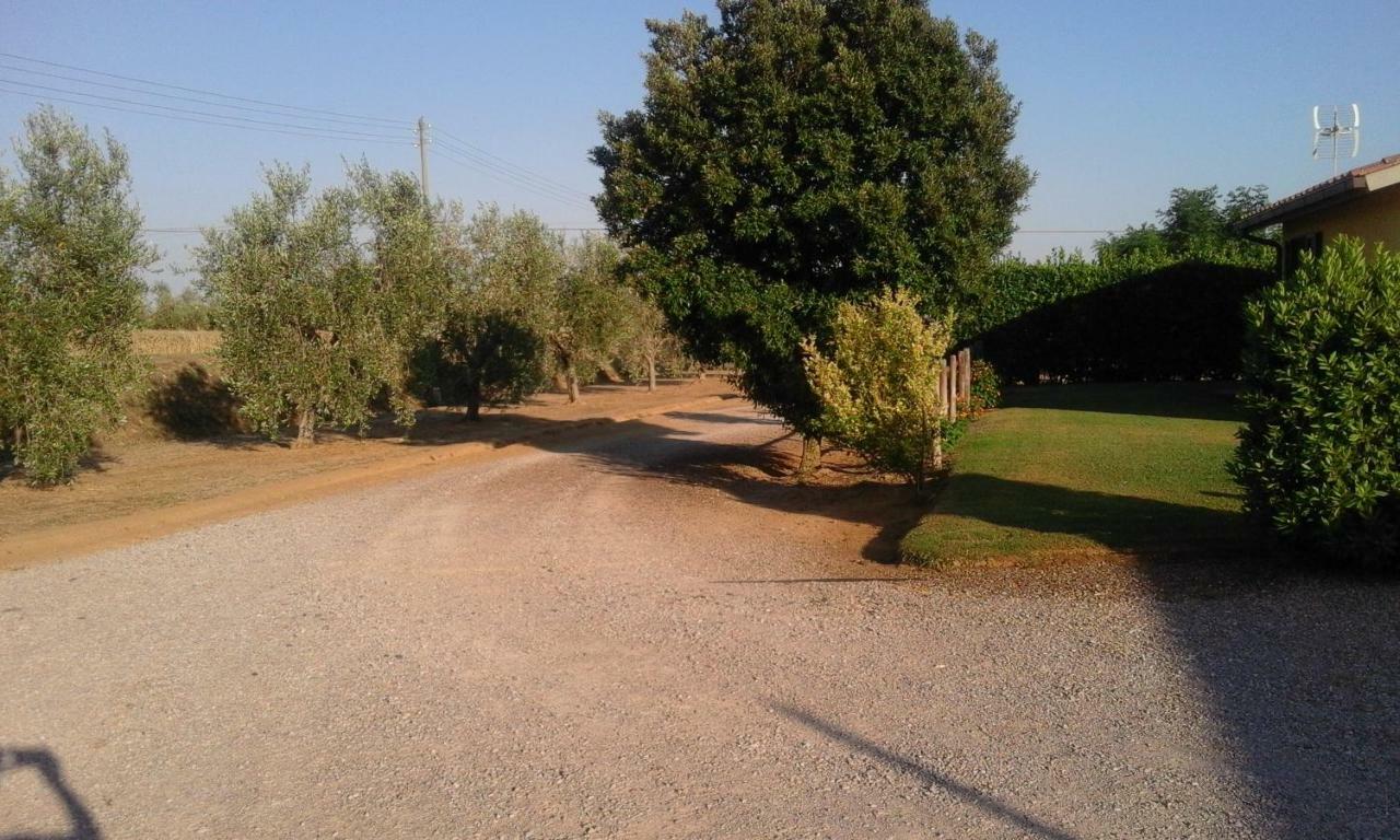 Monolocale Con Giardino Villa Castiglione della Pescaia Exteriör bild